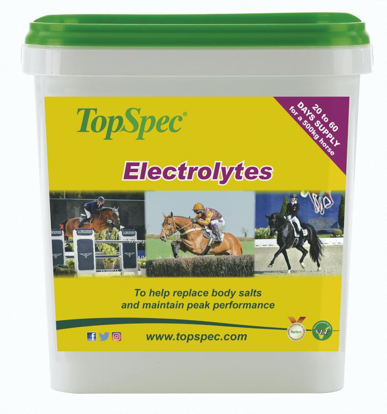 HORSE SENSE Electrolytes explained? No sweat!