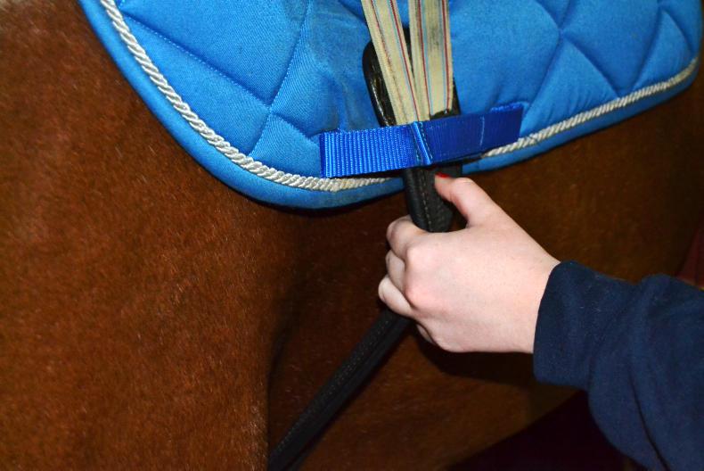 HORSE SENSE Ten tips to remember when tacking up
