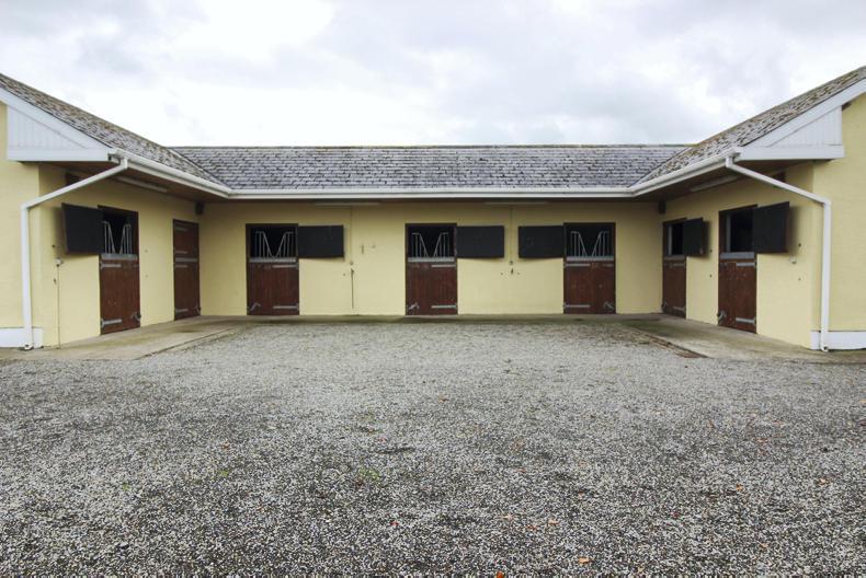 PROPERTY Modern house with stables in heart of Kildare