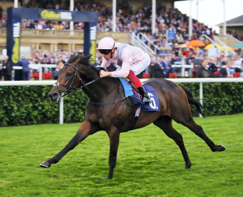 Video Darn Is Too Hot To Handle In Dewhurst