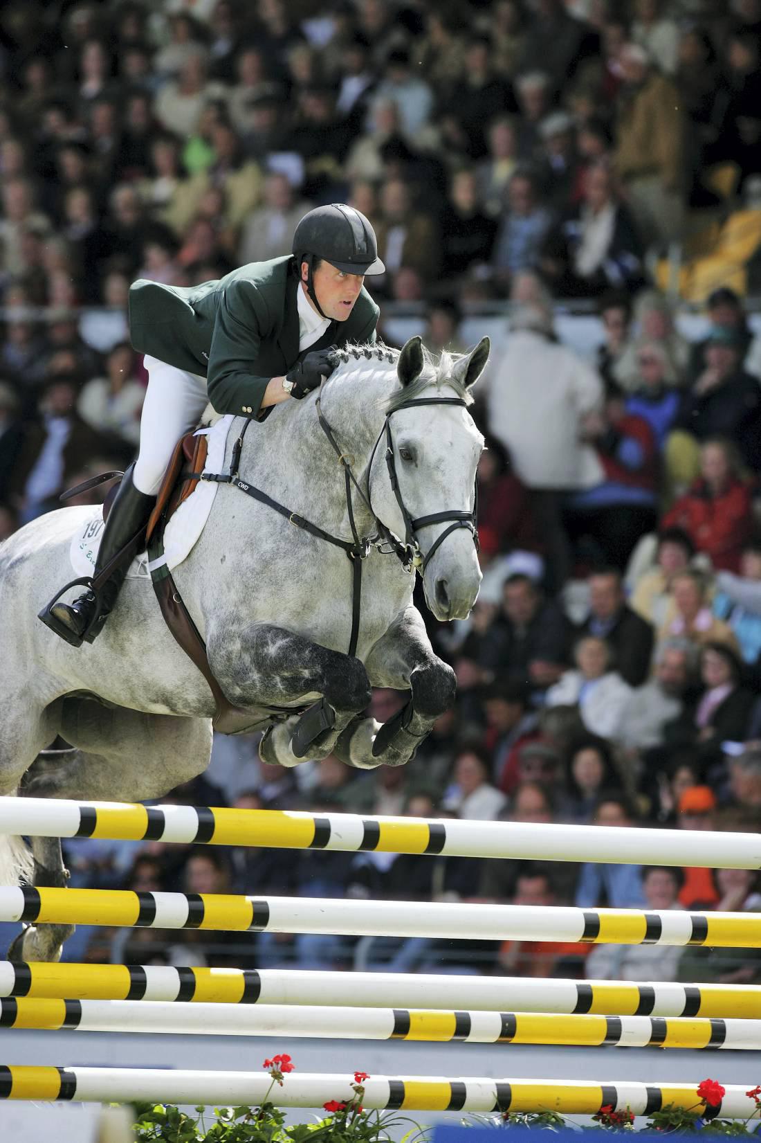 VIDEO Last footage of the great Irish Sport Horse stallion Cruising