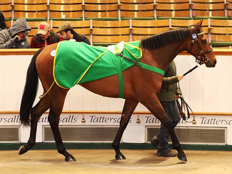 Hands On Windgalls or windpuffs