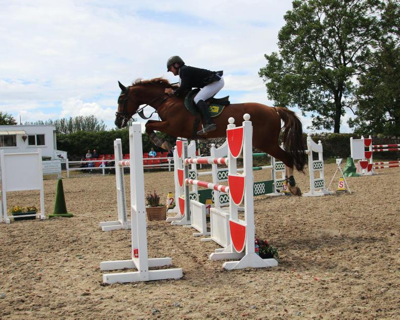 Show Jumping Show jumping Ireland Sport Horse