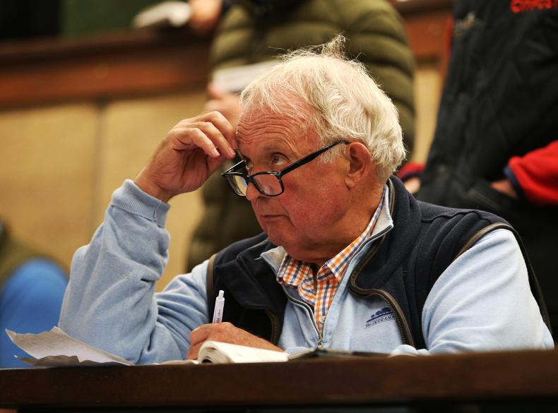 CHELTENHAM David Minton interview