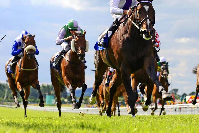 The most expensive horses of the decade how they are valued?