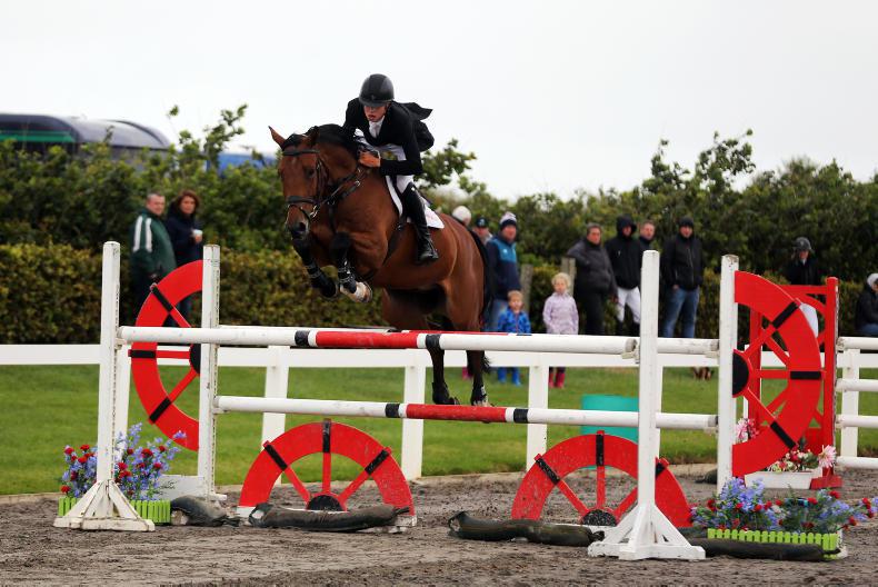 Show Jumping Show jumping Ireland Sport Horse