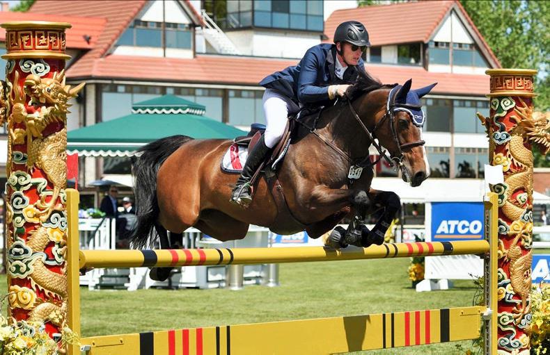 Show Jumping Show jumping Ireland Sport Horse