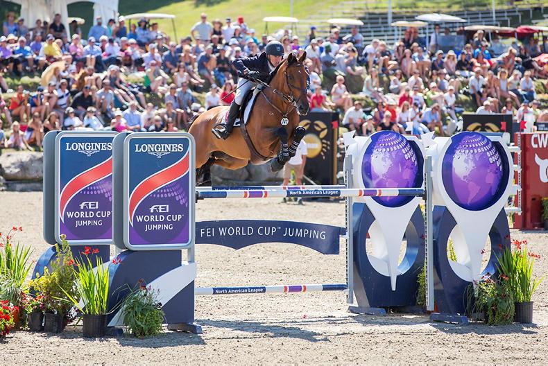 DUBLIN HORSE SHOW Young horse winners where are they now?