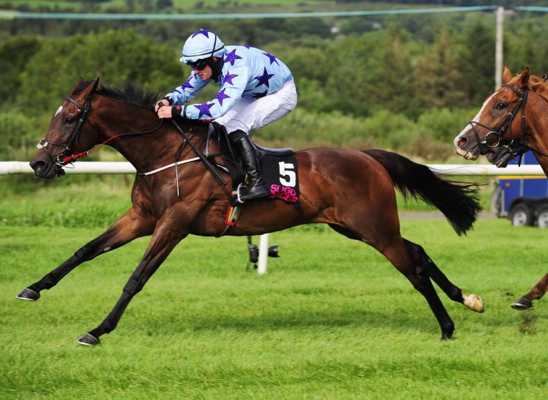 TALKING TRAINER John McConnell