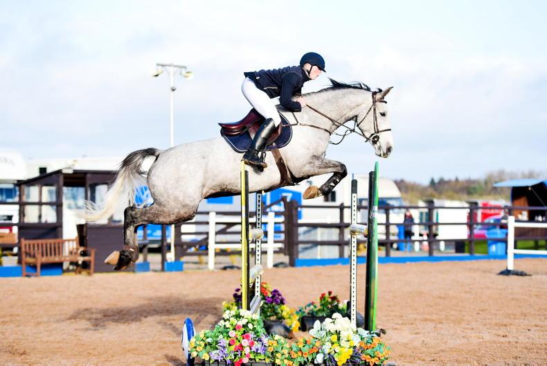 Show Jumping Show jumping Ireland Sport Horse