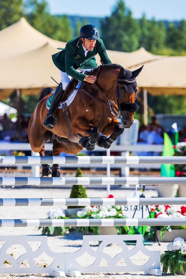 Show Jumping Show jumping Ireland Sport Horse