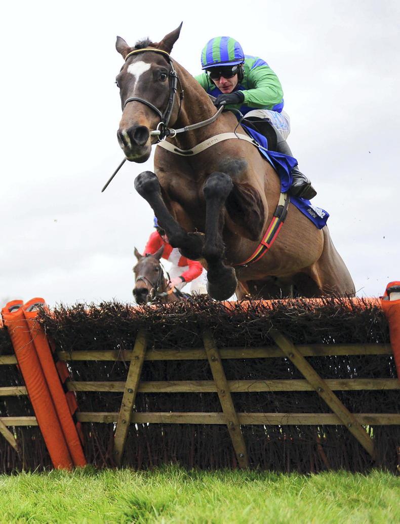 CHELTENHAM Appreciating the Masterson horses