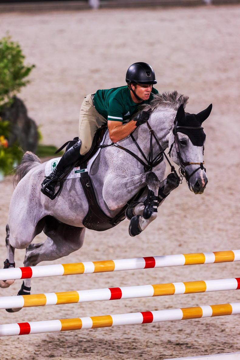 tokyo pictures irish show jumpers ready for action