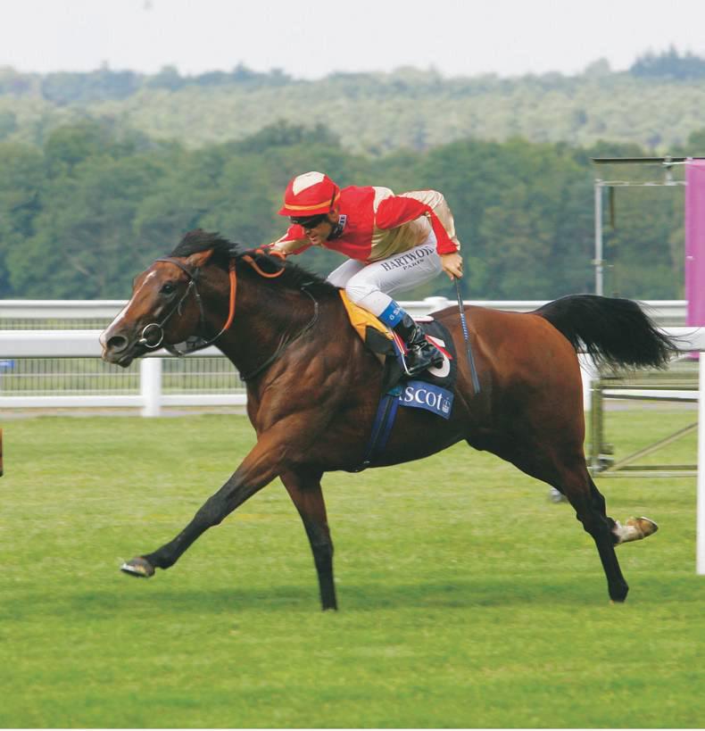 SIRE REVIEW Papal Bull Has Strong Potential