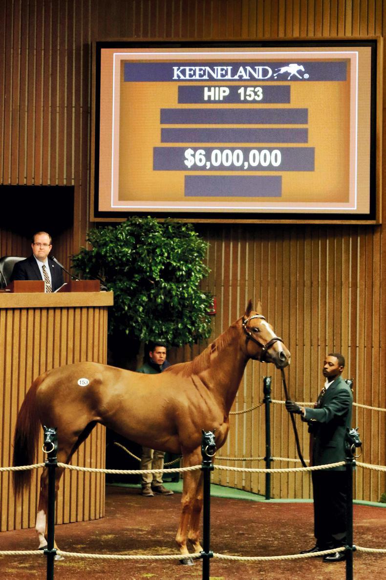 Coolmore Stud pays 6 million for Stellar Wind