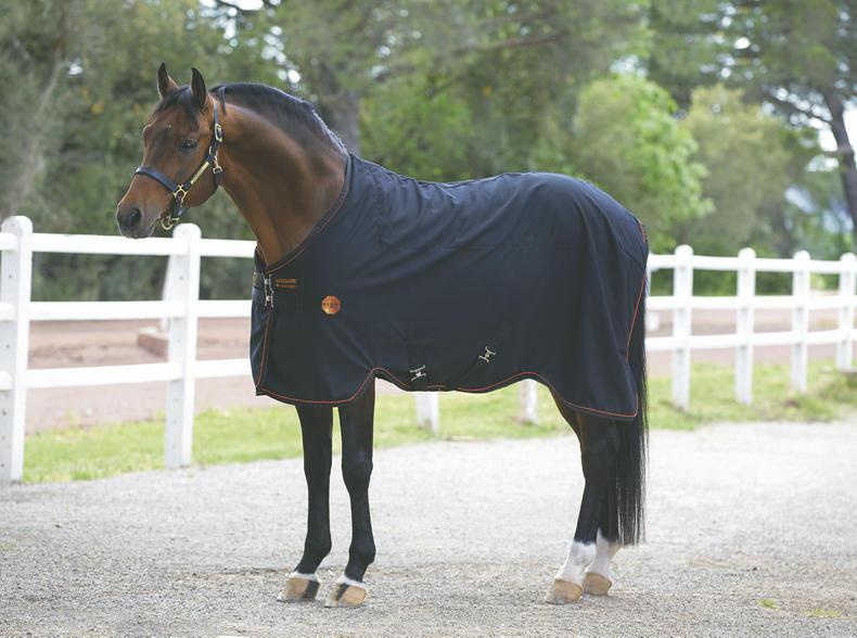 What You Need To Know About Horseware S Rambo Ionic Range